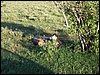 kenya0172.JPG