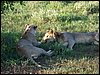 kenya0175.JPG