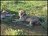 kenya0177.JPG