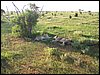kenya0178.JPG