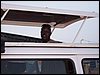 kenya0180.JPG