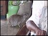 kenya0185.JPG