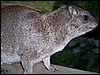 kenya0187.JPG