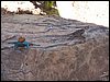 kenya0195.JPG