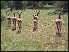 kenya0201.JPG
