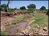 kenya0203.JPG