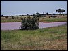 kenya0204.JPG