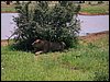 kenya0205.JPG