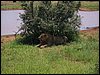 kenya0206.JPG