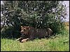 kenya0207.JPG