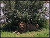 kenya0208.JPG