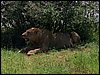 kenya0209.JPG
