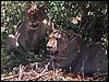 kenya0214.JPG