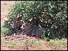 kenya0216.JPG