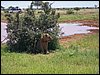 kenya0220.JPG