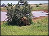 kenya0223.JPG