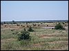 kenya0228.JPG
