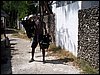 kenya0257.JPG