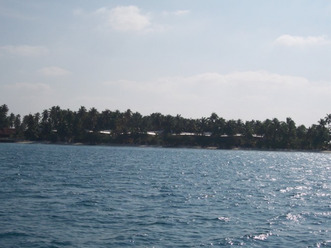 100_0041.JPG