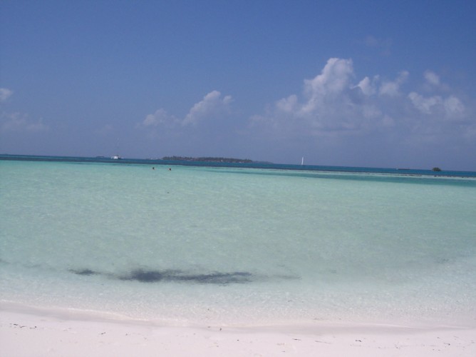 100_0091.JPG