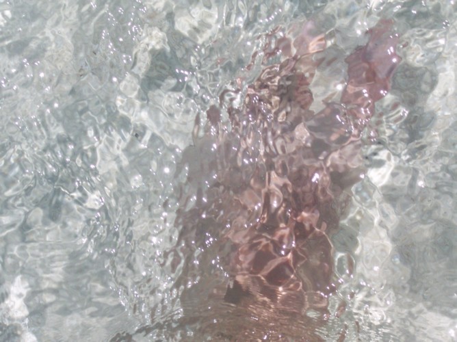 100_0102.JPG