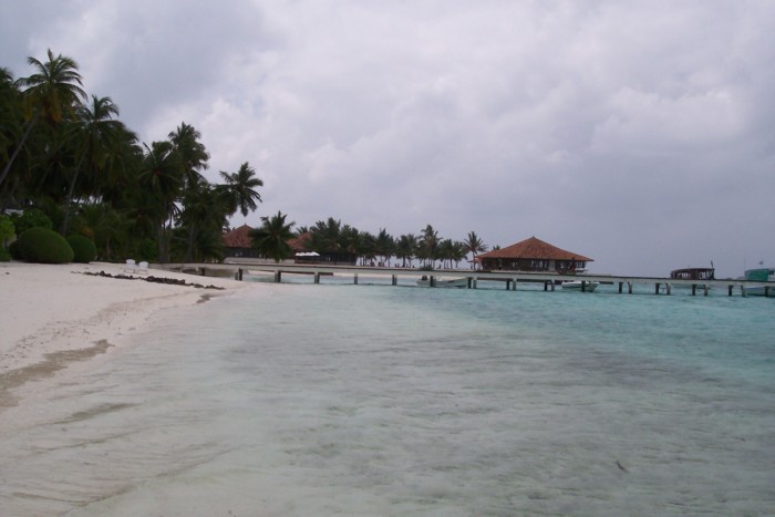 100_0206.JPG