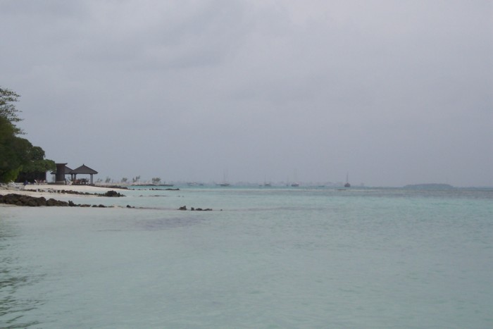 100_0219.JPG