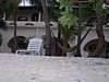 100_0047.JPG