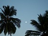 100_0048.JPG