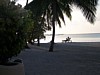 100_0065.JPG