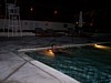 100_0071.JPG