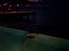 100_0075.JPG