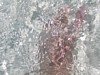 100_0102.JPG