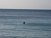 100_0120.JPG