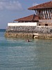 100_0121.JPG