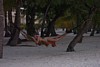 100_0148.JPG