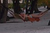 100_0149.JPG