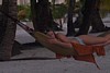 100_0150.JPG