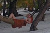 100_0154.JPG