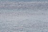 100_0156.JPG