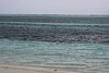 100_0194.JPG
