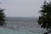 100_0195.JPG