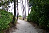 100_0196.JPG