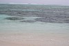 100_0197.JPG