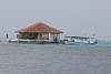 100_0199.JPG