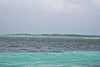 100_0203.JPG