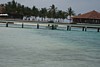 100_0205.JPG