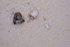 100_0208.JPG
