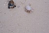 100_0209.JPG