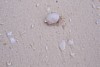 100_0211.JPG